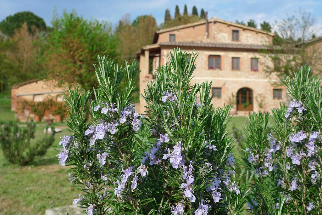 Fattoria Le Pietre Vive Di Montaperti Apartman Monteaperti  Kültér fotó
