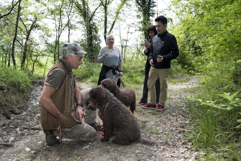 Fattoria Le Pietre Vive Di Montaperti Apartman Monteaperti  Kültér fotó